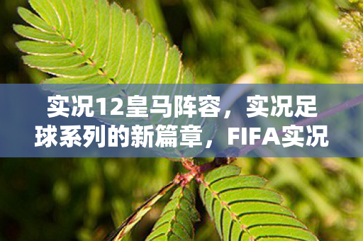 实况12皇马阵容，实况足球系列的新篇章，FIFA实况足球 12 的魅力与独特之处