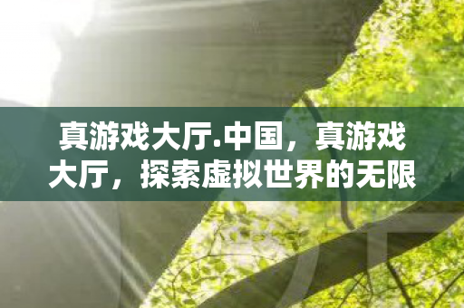 真游戏大厅.中国，真游戏大厅，探索虚拟世界的无限可能