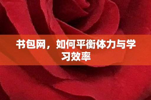 书包网,如何平衡体力与学习效率 书包网,如何平衡体力与学习效率