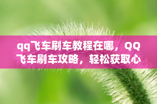 qq飞车刷车教程在哪，QQ飞车刷车攻略，轻松获取心仪座驾