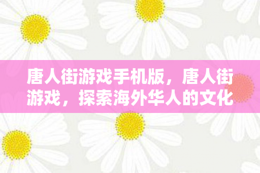 唐人街游戏手机版,唐人街游戏,探索海外华人的文化乐园 唐人街游戏手机版,唐人街游戏,探索海外华人的文化乐园