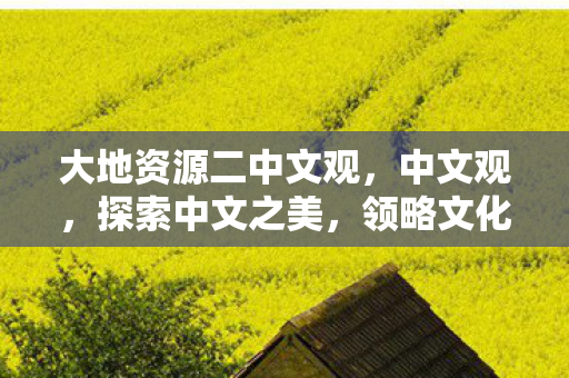 大地资源二中文观，中文观，探索中文之美，领略文化之深