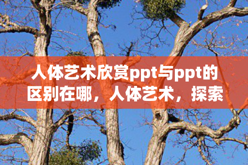 人体艺术欣赏ppt与ppt的区别在哪，人体艺术，探索美的无限可能