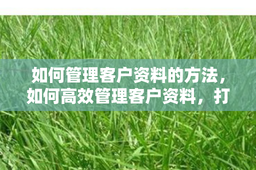 如何管理客户资料的方法，如何高效管理客户资料，打造卓越客户体验的关键