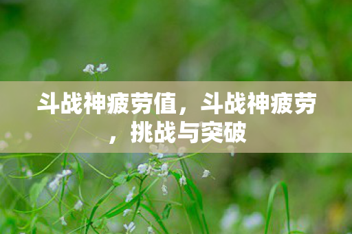 斗战神疲劳值，斗战神疲劳，挑战与突破