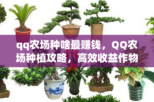 qq农场种啥最赚钱,QQ农场种植攻略,高效收益作物推荐 qq农场种啥最赚钱,QQ农场种植攻略,高效收益作物推荐