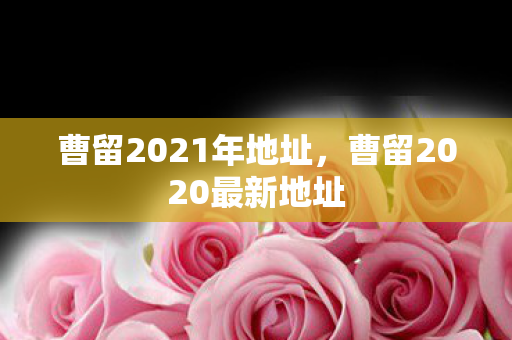 曹留2021年地址，曹留2020最新地址
