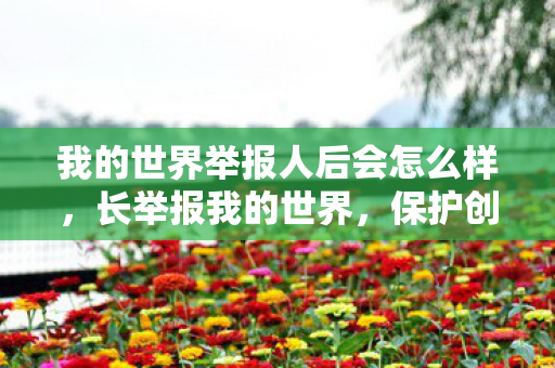 我的世界举报人后会怎么样，长举报我的世界，保护创意与版权的行动