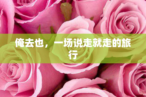 俺去也，一场说走就走的旅行