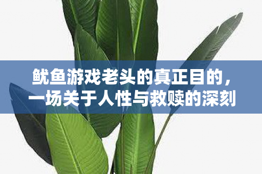 鱿鱼游戏老头的真正目的，一场关于人性与救赎的深刻探讨
