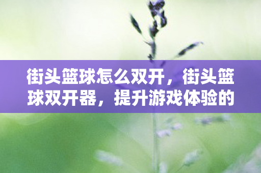 街头篮球怎么双开,街头篮球双开器,提升游戏体验的利器? 街头篮球怎么双开,街头篮球双开器,提升游戏体验的利器?