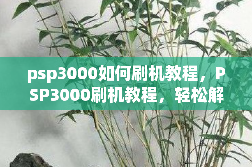 psp3000如何刷机教程,PSP3000刷机教程,轻松解锁新体验 psp3000如何刷机教程,PSP3000刷机教程,轻松解锁新体验
