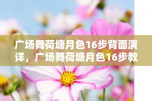 广场舞荷塘月色16步背面演详，广场舞荷塘月色16步教学详解