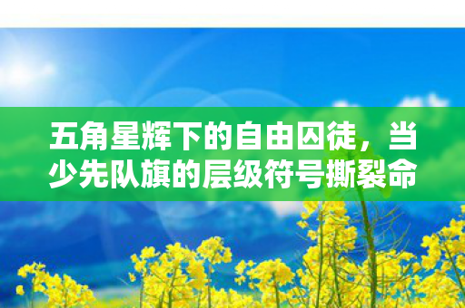 五角星辉下的自由囚徒,当少先队旗的层级符号撕裂命运悖论 五角星辉下的自由囚徒,当少先队旗的层级符号撕裂命运悖论