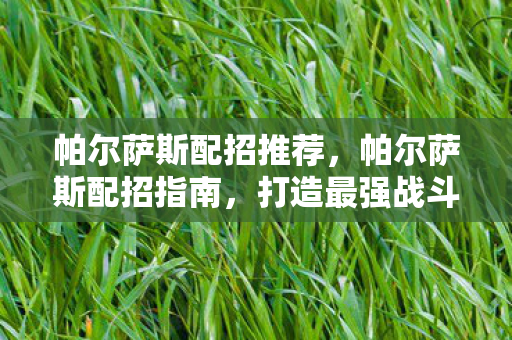 帕尔萨斯配招推荐,帕尔萨斯配招指南,打造最强战斗阵容 帕尔萨斯配招推荐,帕尔萨斯配招指南,打造最强战斗阵容