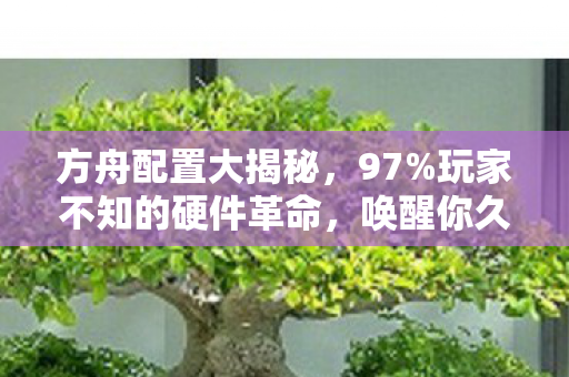 方舟配置大揭秘,97%玩家不知的硬件革命,唤醒你久违的感动! 方舟配置大揭秘,97%玩家不知的硬件革命,唤醒你久违的感动!