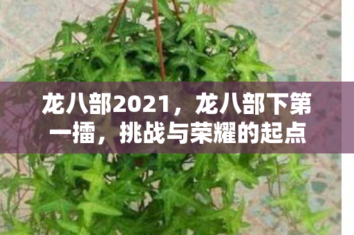 龙八部2021，龙八部下第一擂，挑战与荣耀的起点