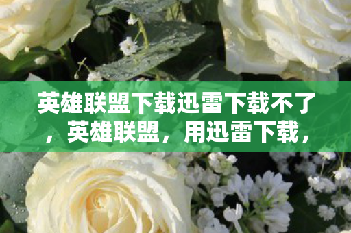 英雄联盟下载迅雷下载不了,英雄联盟,用迅雷下载,体验极速快感 英雄联盟下载迅雷下载不了,英雄联盟,用迅雷下载,体验极速快感