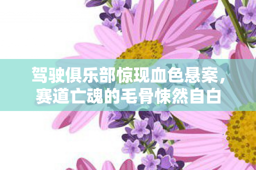 驾驶俱乐部惊现血色悬案,赛道亡魂的毛骨悚然自白 驾驶俱乐部惊现血色悬案,赛道亡魂的毛骨悚然自白
