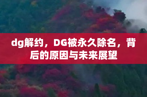 dg解约，DG被永久除名，背后的原因与未来展望