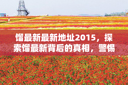 馏最新最新地址2015，探索馏最新背后的真相，警惕信息时代的陷阱