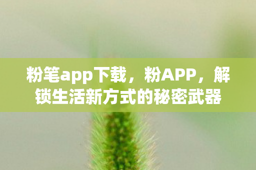 粉笔app下载,粉APP,解锁生活新方式的秘密武器 粉笔app下载,粉APP,解锁生活新方式的秘密武器