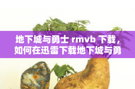 地下城与勇士 rmvb 下载,如何在迅雷下载地下城与勇士? 地下城与勇士 rmvb 下载,如何在迅雷下载地下城与勇士?