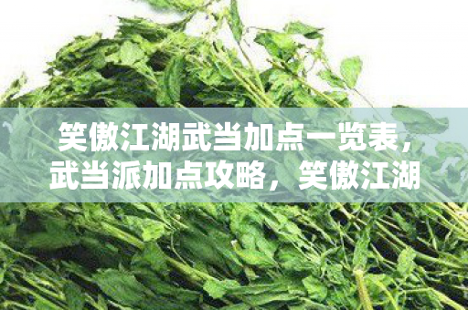 笑傲江湖武当加点一览表,武当派加点攻略,笑傲江湖中的武学巅峰 笑傲江湖武当加点一览表,武当派加点攻略,笑傲江湖中的武学巅峰