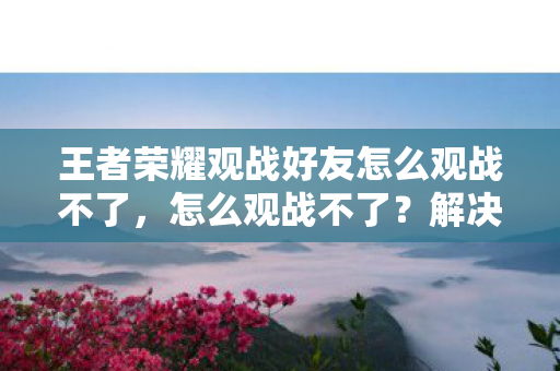 王者荣耀观战好友怎么观战不了,怎么观战不了?解决观战问题的全面指南 王者荣耀观战好友怎么观战不了,怎么观战不了?解决观战问题的全面指南