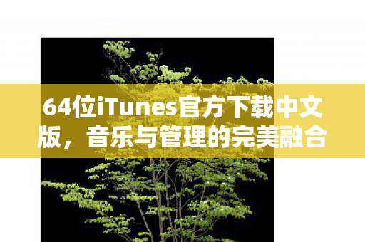 64位iTunes官方下载中文版,音乐与管理的完美融合 64位iTunes官方下载中文版,音乐与管理的完美融合