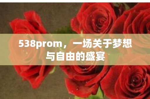 538prom,一场关于梦想与自由的盛宴 538prom,一场关于梦想与自由的盛宴