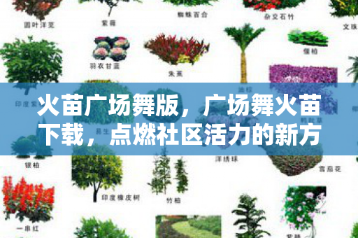 火苗广场舞版，广场舞火苗下载，点燃社区活力的新方式