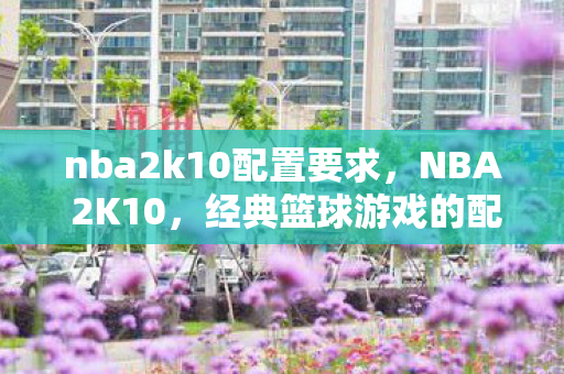 nba2k10配置要求，NBA 2K10，经典篮球游戏的配置需求与体验