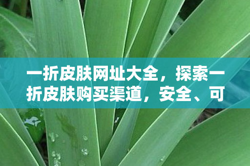 一折皮肤网址大全,探索一折皮肤购买渠道,安全、可靠且实惠的购买方式 一折皮肤网址大全,探索一折皮肤购买渠道,安全、可靠且实惠的购买方式
