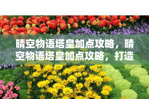 晴空物语塔皇加点攻略,晴空物语塔皇加点攻略,打造最强塔皇,征服天际! 晴空物语塔皇加点攻略,晴空物语塔皇加点攻略,打造最强塔皇,征服天际!