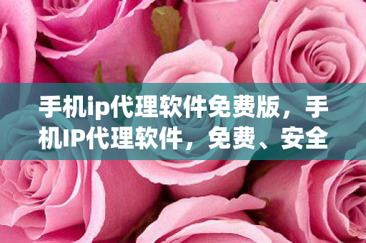 手机ip代理软件免费版，手机IP代理软件，免费、安全与高效的选择