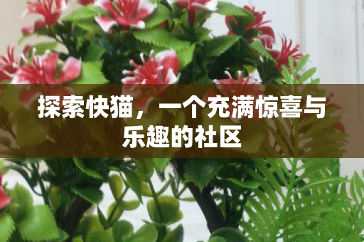 探索快猫，一个充满惊喜与乐趣的社区