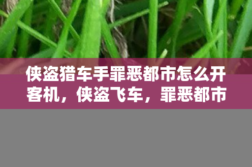 侠盗猎车手罪恶都市怎么开客机,侠盗飞车,罪恶都市客机飞行指南 侠盗猎车手罪恶都市怎么开客机,侠盗飞车,罪恶都市客机飞行指南