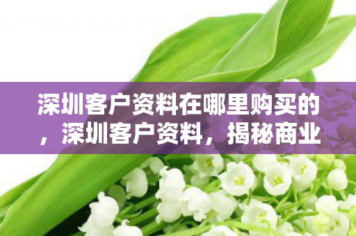 深圳客户资料在哪里购买的，深圳客户资料，揭秘商业之都的财富密码