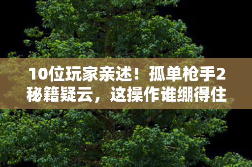 10位玩家亲述!孤单枪手2秘籍疑云,这操作谁绷得住? 10位玩家亲述!孤单枪手2秘籍疑云,这操作谁绷得住?