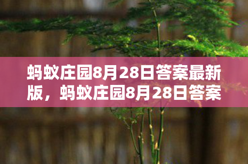 蚂蚁庄园8月28日答案最新版，蚂蚁庄园8月28日答案最新揭秘