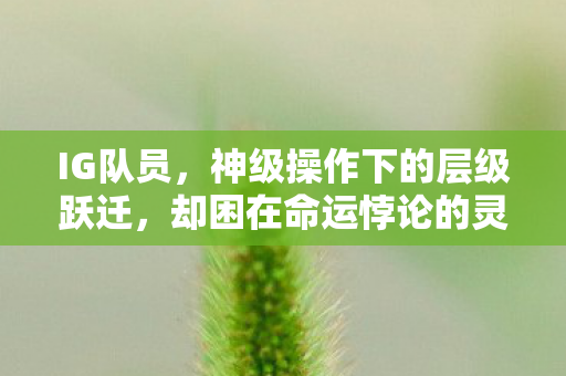 IG队员,神级操作下的层级跃迁,却困在命运悖论的灵魂震颤之网 IG队员,神级操作下的层级跃迁,却困在命运悖论的灵魂震颤之网