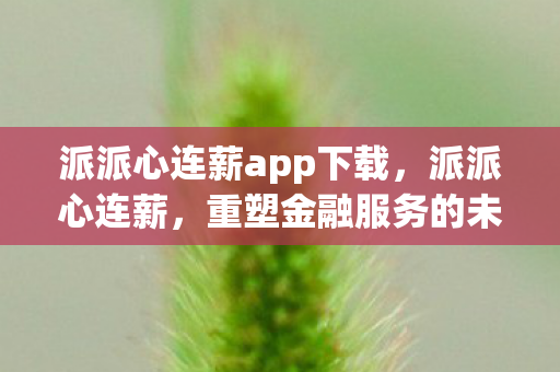 派派心连薪app下载,派派心连薪,重塑金融服务的未来 派派心连薪app下载,派派心连薪,重塑金融服务的未来