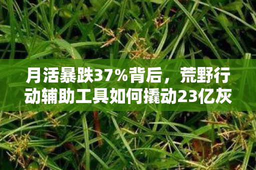月活暴跌37%背后,荒野行动辅助工具如何撬动23亿灰色经济链的复活奇迹 月活暴跌37%背后,荒野行动辅助工具如何撬动23亿灰色经济链的复活奇迹
