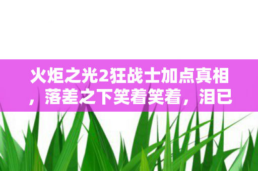 火炬之光2狂战士加点真相,落差之下笑着笑着,泪已决堤 火炬之光2狂战士加点真相,落差之下笑着笑着,泪已决堤