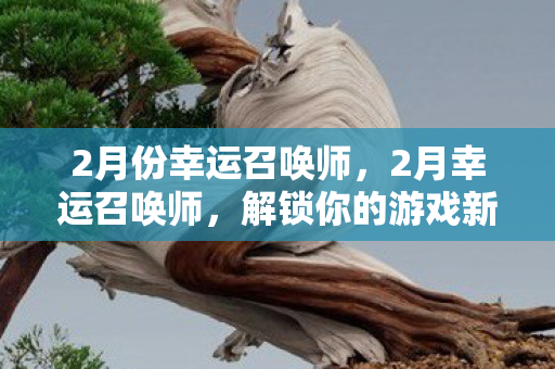 2月份幸运召唤师，2月幸运召唤师，解锁你的游戏新篇章