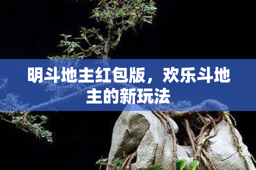 明斗地主红包版,欢乐斗地主的新玩法 明斗地主红包版,欢乐斗地主的新玩法