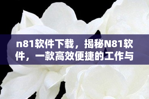 n81软件下载，揭秘N81软件，一款高效便捷的工作与生活助手