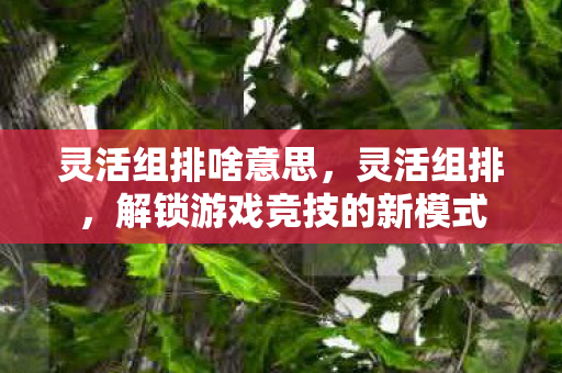 灵活组排啥意思,灵活组排,解锁游戏竞技的新模式 灵活组排啥意思,灵活组排,解锁游戏竞技的新模式