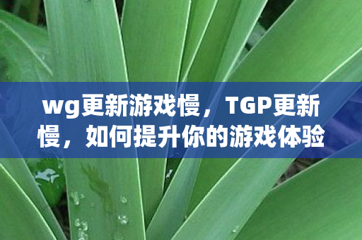 wg更新游戏慢,TGP更新慢,如何提升你的游戏体验? wg更新游戏慢,TGP更新慢,如何提升你的游戏体验?